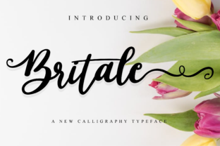 Britale Script Font: A Web Designer’s Layout Review