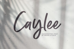 Caylee Script Font: Adding Warmth to Editorial Layouts