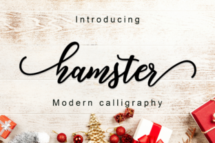 Hamster Script: A Designer’s Practical Review