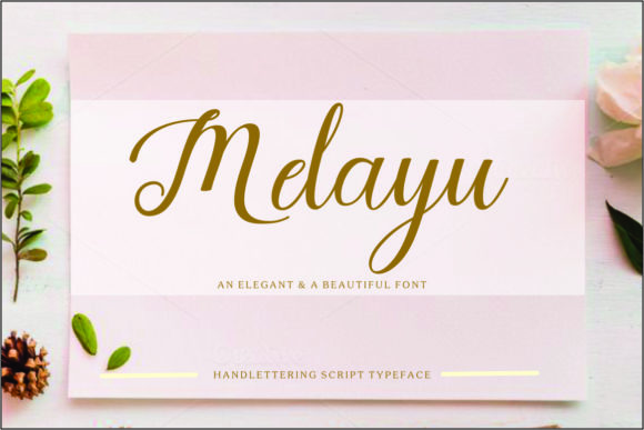 Melayu Script Font for Elegant Editorial Design