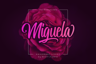 Miguela Script Font: A Web Designer’s Layout Test