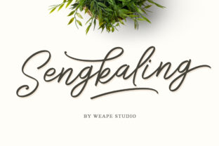 Sengkaling Script: A Designer’s Practical Review