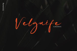 Velgiufe Script Font: A Designer’s Branding Test